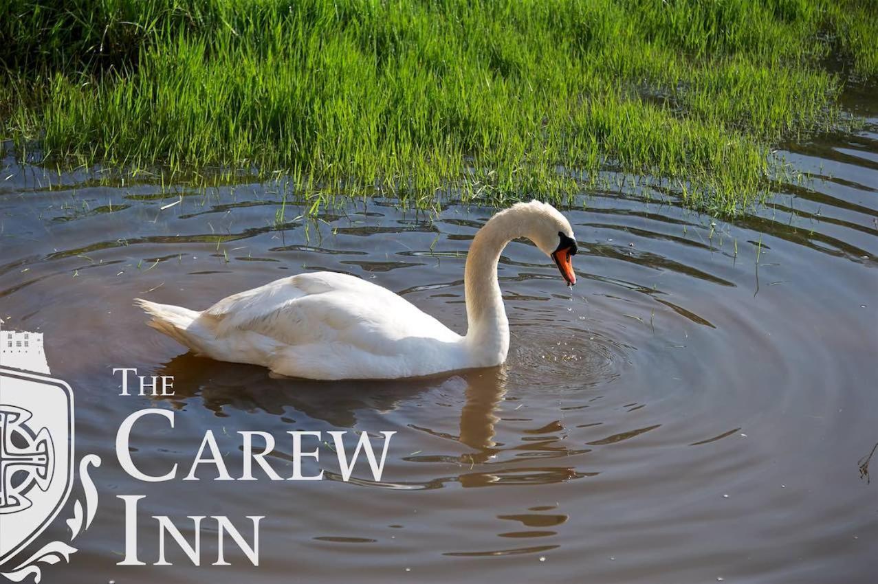 Carew Inn ภายนอก รูปภาพ